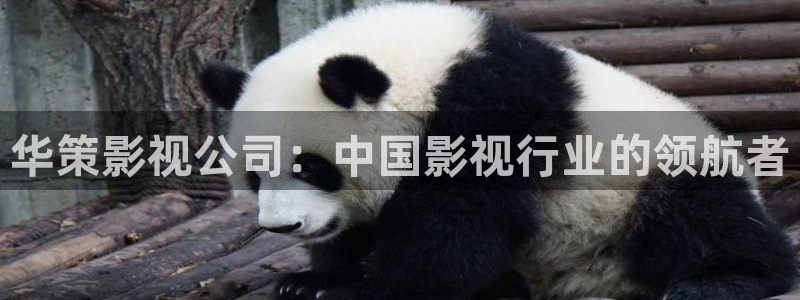 yy4480万达青苹果影院