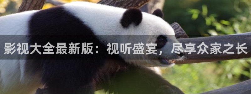 yy4480万利达影院新视觉