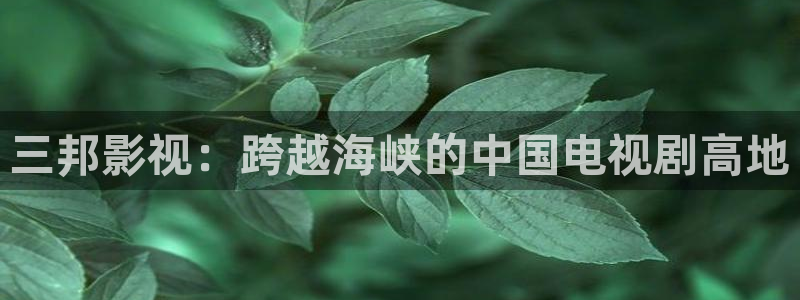 yy4480影视电视剧免费播放