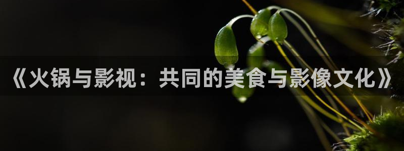 yy4480免费高清电影院